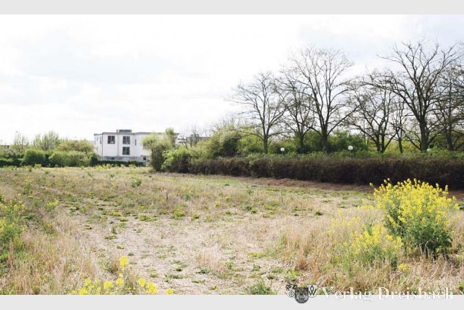 &nbsp;

	Hochheim bietet zu wenig Arbeitspl&auml;tze, Brachen f&uuml;r zus&auml;tzliche Fl&auml;chen gibt es aber durchaus, wie hier an der Frankfurter Stra&szlig;e &ouml;stlich des Tetra-Pak-Gel&auml;ndes.

	&nbsp;