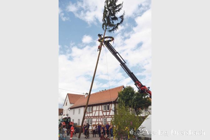 Viele Schaulustige betrachteten sich das Aufstellspektakel des mit Kranz, Kerbebopp und lila-gelben Bändern geschmückten Kerbebaumes.