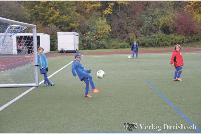 F&uuml;nf Tage Fu&szlig;ball pur: Beim Herbstcamp des SV 09 trainierten 41 Kinder Taktik und Ausdauer.
(Foto: R. D&ouml;rh&ouml;fer)