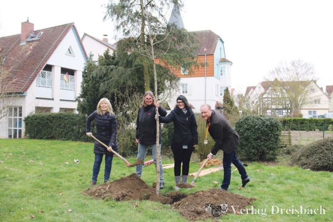 Gloria Gotzhein (2.v.l.) vom St&auml;dtischen Gr&uuml;nfl&auml;chenamt und Globus-Mitarbeiterin Nadine Gr&uuml;nder (2.v.r.) halten den neuen Amberbaum aufrecht, w&auml;hrend B&uuml;rgermeisterin Antje K&ouml;ster und Globus-Marktleiter Marcel Carpentier Erde um den Wurzelballen schaufeln. Hier soll im April eine Boule-Bahn entstehen.
(Foto: A. Kreusch)