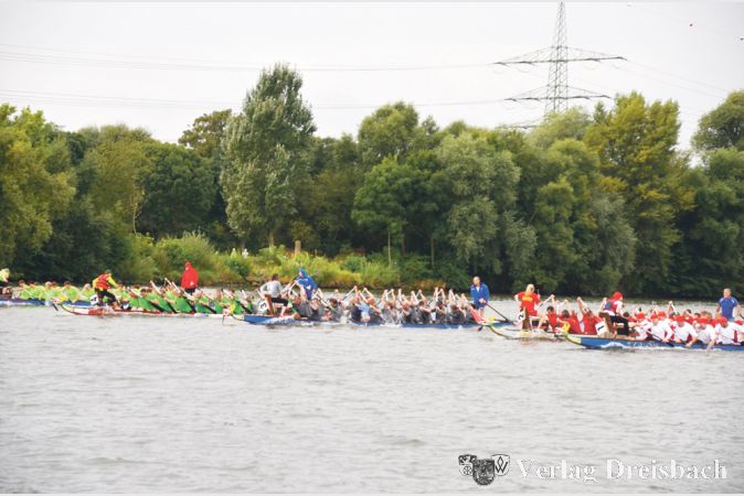 Mit Kraft und richtiger Technik wurden die schnittigen Drachenboote durchs Wasser bewegt. Teamgeist und Training zahlten sich hier aus. (Fotos: R. D&ouml;rh&ouml;fer)