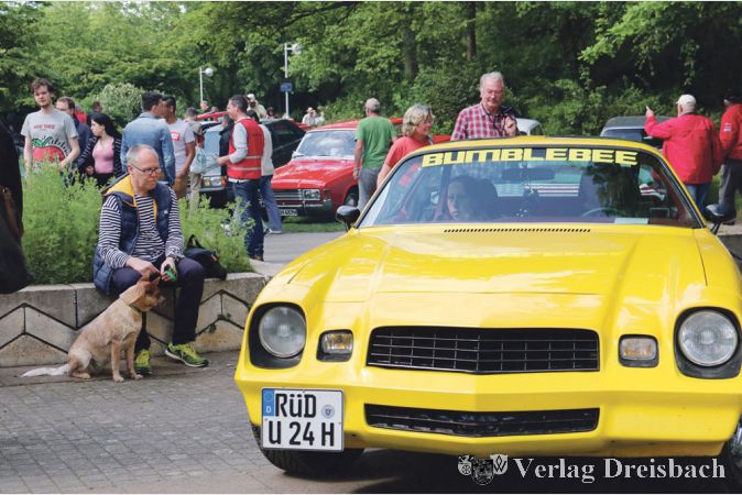 Auch eine ungew&ouml;hnlich gro&szlig;e, gelbe &bdquo;Hummel&ldquo; in sehr niedrigem, blubbernd wohlt&ouml;nendem &bdquo;Tiefflug&ldquo; war zwischen den Blumenk&uuml;beln im Hattersheimer Stadtpark am Weiher w&auml;hrend der Klassikertage 2017 zu bewundern.