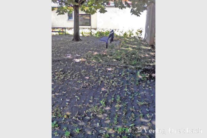 Aus der Anlage des offenen Briefes der Freien W&auml;hler: Eddersheimer Lindenplatz, Bildaufnahme vom 27. Mai 2017