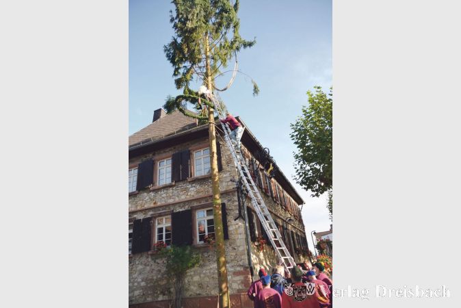 Die T&uuml;cken mit dem Kerbebaum: Mit vereinten Kr&auml;ften stellten die Kerbeborsch am Samstagfr&uuml;h ihren Baum am Kerbeplatz.&nbsp;