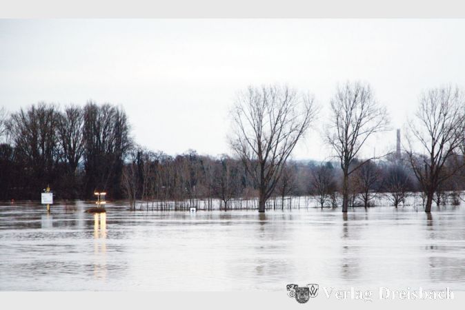 Die Mainspitze war durch den hohen Pegelstand des Rheins tagelang &uuml;berflutet.&nbsp;