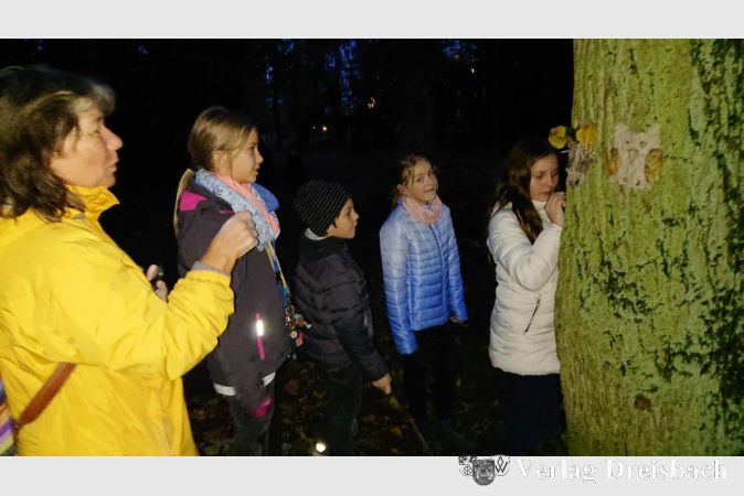 Für ihre Gruppe hatte sich Cäcilia Habicht wieder einiges einfallen lassen: Heilwasser probieren, Waldgeister aus Ton an die Bäume anbringen und Blätter-Mandalas legen.