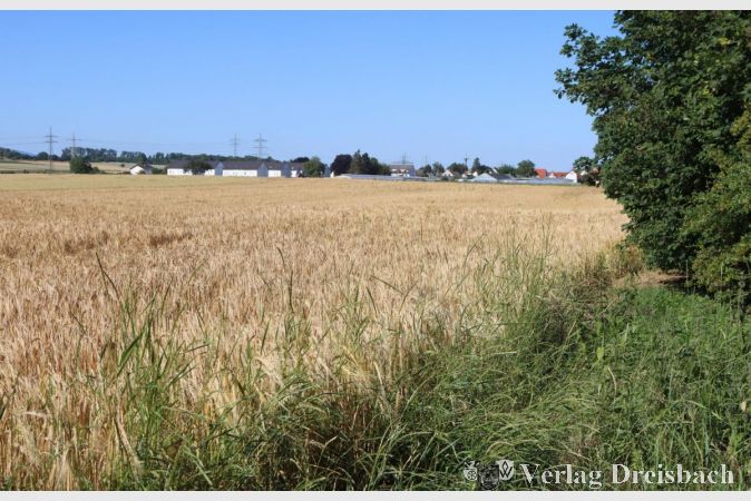 Ein großflächig bepflanzter Acker, eine kleinteilige Schicksalsgemeinschaft von Verpächtern, das ist wie hier im Nordwesten der Stadt die Situation auf vielen landwirtschaftlichen Grundstücken in Flörsheim. Das macht es der Stadt fast unmöglich, vertraglich unübliche Vereinbarungen wie den Verzicht auf einen Glyphosat-Einsatz durchzusetzen.