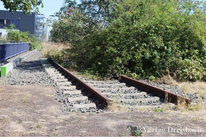 Überflüssig: Zusammen mit dem Entstehen der Lärmschutzwand wird die DB Netz liegen gebliebene Reste ehemaliger Nebengleise beseitigen wie hier oberhalb der Unterführung Rheinalllee (B519) .