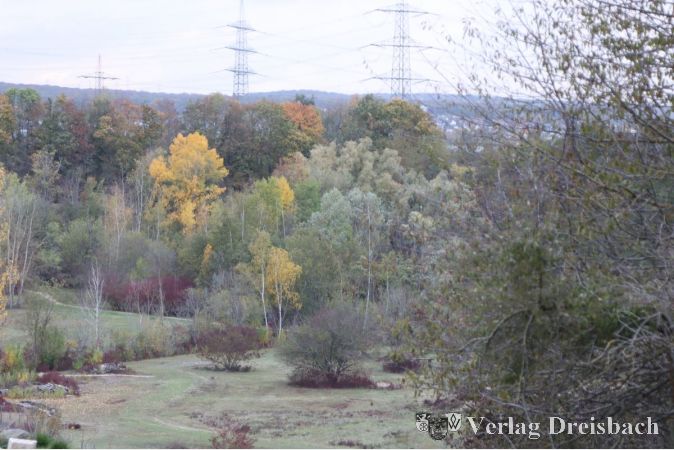 Die rekultivierte Landschaft des alten Kiesabbaugebietes gilt als Refugium selten gewordener Pflanzen und Tierarten. Die GRKW hat die Arbeiten in dem Areal in der Vergangenheit auch über den Weiterbetrieb des Kiesabbaus auf einem Teilgelände finanziert.