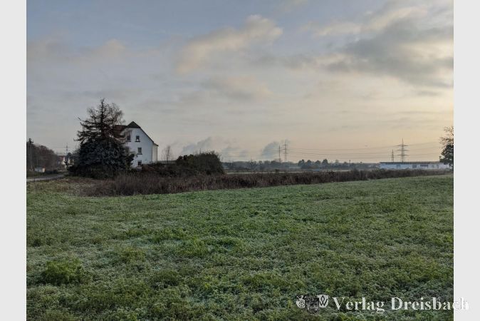 Das Areal "Krifteler Wäldchen". Wohnraum soll hier entstehen, Gewerbe soll sich ansiedeln.