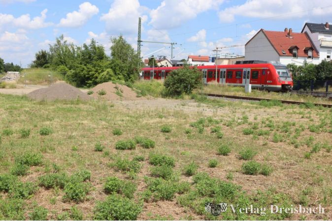 Noch ist es angesichts des ungeschützten Übergangs zu den Bahnschienen nicht zu empfehlen, hier einen Treffpunkt für Jugendliche einzurichten. Die Lärmschutzwand könnte helfen.