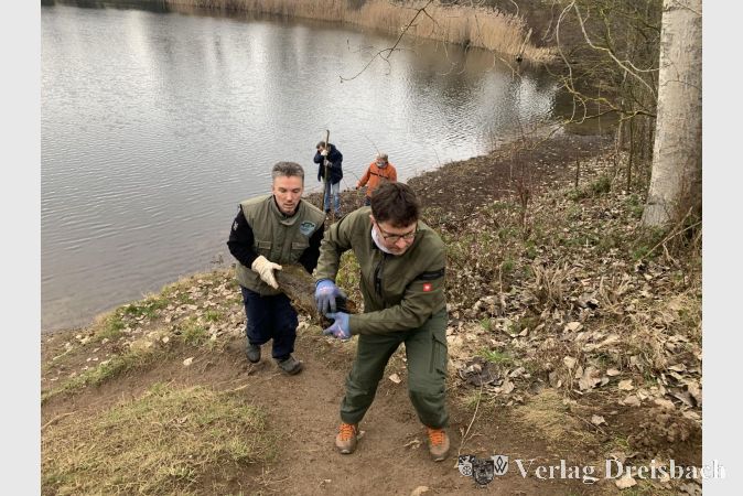 Mitglied Bryan Baker und 1. Vorsitzender Janko Juhr bringen am Angelplatz "Karpfeneck" einen aus dem Wasser geborgenen Baumstamm nach oben, im Hintergrund die Mitglieder Patrick Scholte und Richard Stegemüller.