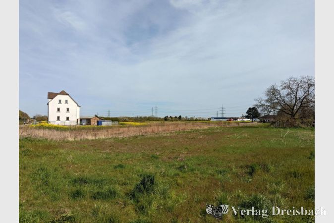 "Am Krifteler Wäldchen" soll in den kommenden Jahren kräftig gebaut werden. Die Gemeindevertretung hat nun die Offenlage des Bebauungsplanes beschlossen.