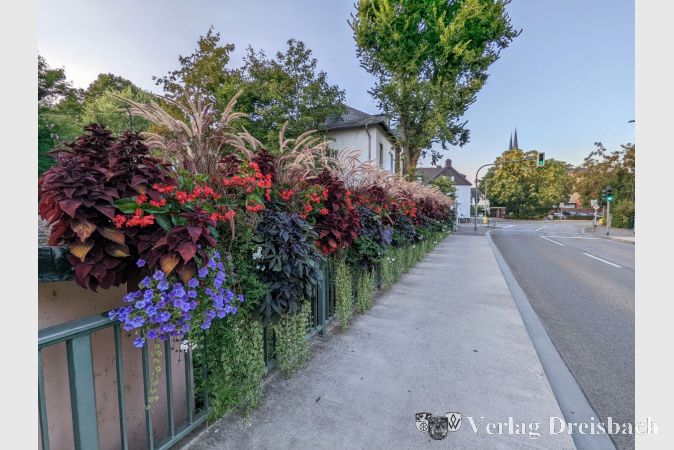 Soll für Freude auch in diese Zeiten sorgen: Die Bepflanzung an der Schwarzbachbrücke.