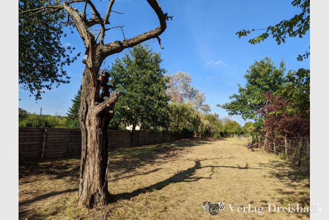 Auf diesem Gelände in der Kapellenstraße 14a wird die Natur-Kita ihre Heimat finden. Ob der Baum im Vordergrund erhalten werden kann oder eine Gefahr für die spielenden Kinder darstellt, ist noch nicht abschließend geklärt.