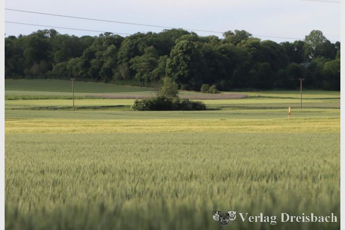 Viel Feld, wenig Gehölz: Ein angenommener Änderungsantrag zum Haushalt soll wieder mehr Rückzugsflächen zwischen den Flörsheimer Feldern bringen.