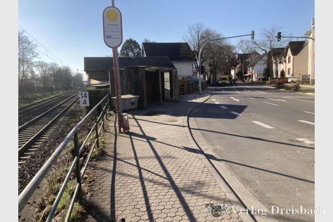 Das Schutzgitter am Eisernen Steg wird ersetzt, ebenso die dortigen Pflastersteine.