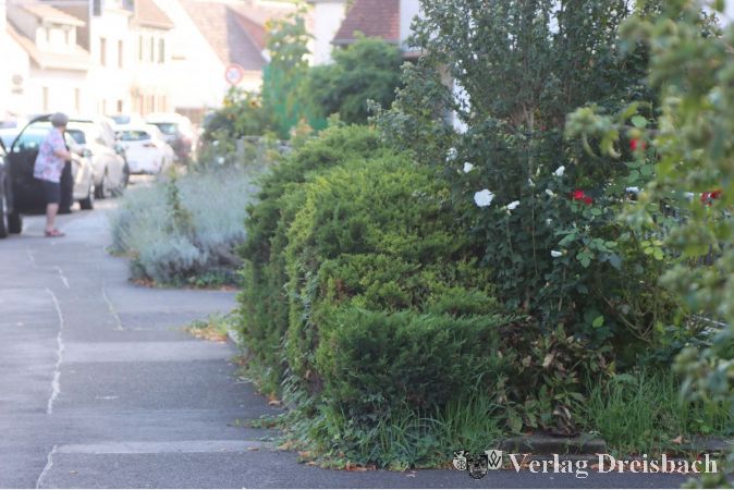 Das Grün muss weg: Die Pflanzinseln vor den Grundstücken haben in den Planungen keinen Platz, dafür sollen an den Parkflächen einzelne Bäume wachsen.