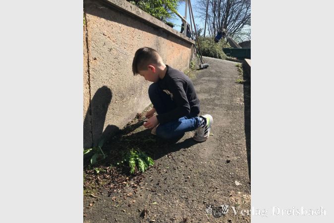 Alle Generationen halfen fleißig mit.