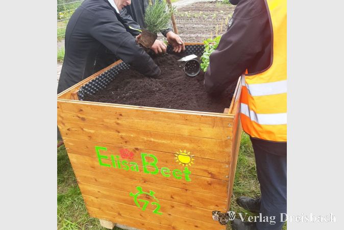 Bepflanzen der „ElisaBeete“.