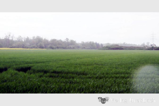 Auf der nördlichen Seite des Weilbachs verschwenkt der zweite Abschnitt der Umgehung über dieses Feld und mündet auf die Raunheimer Straße (hinten, vor dem Grünzug).