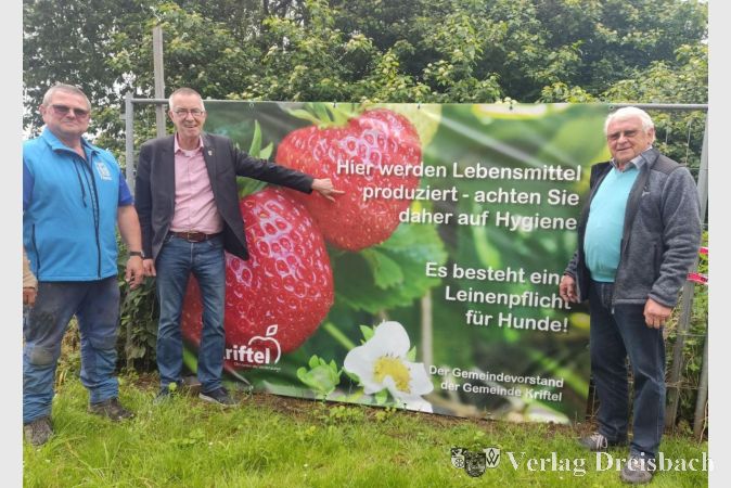 Um saubere Erdbeeren geht es auf diesem Feldbanner: Der Erste Beigeordnete Franz Jirasek (2. v. li.) sowie Ortslandwirt Andreas Theis (links) und Jagdvorsteher Edelbert Hoss (re.) begutachteten das neue Design.