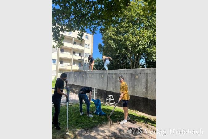 Bunte Bilder lassen die ehemals graue Wand nun in einem freundlicheren Licht erscheinen.