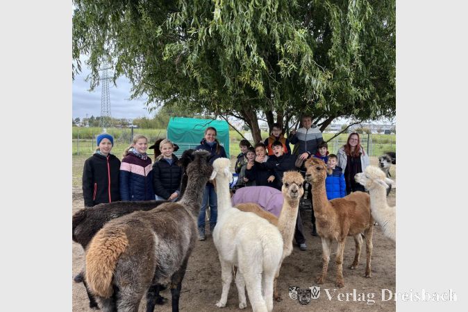Ausflug zu den Luna Alpakas in Darmstadt.