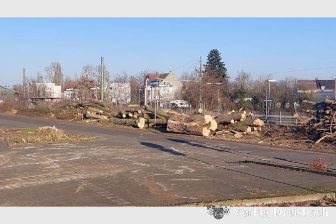 Kein Platz für Bäume auf N118 - dem ehemaligen P&R-Platz am Bahnhof Hattersheim.