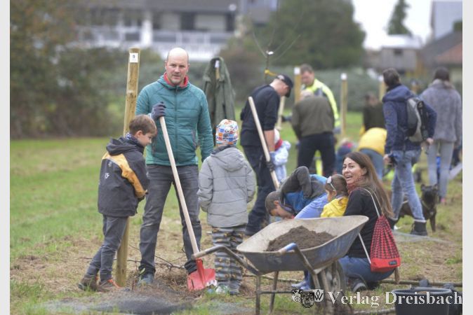 1.000 Bäume Projekt: Pflanzaktion in Okriftel rund um den Baggersee.