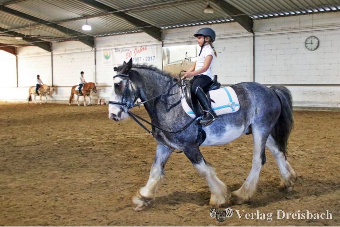 Im vergangenen Jahr konnte das Hofturnier noch veranstaltet werden, in diesem Jahr muss der gemeinnützige Pferdesport- und Therapieverein RSG Eddersheim die Veranstaltung schweren Herzens absagen. Ausschlaggebend dafür sind sowohl fehlendes ehrenamtliches Engagement als auch der alternde Schulpferdebestand. Gerade die Anschaffung neuer Schulpferde ist dringend notwendig, um langfristig den Reitunterricht und die reittherapeutischen Angebote, insbesondere für Kinder, Jugendliche und Menschen mit Beeinträchtigungen, aufrechtzuerhalten.