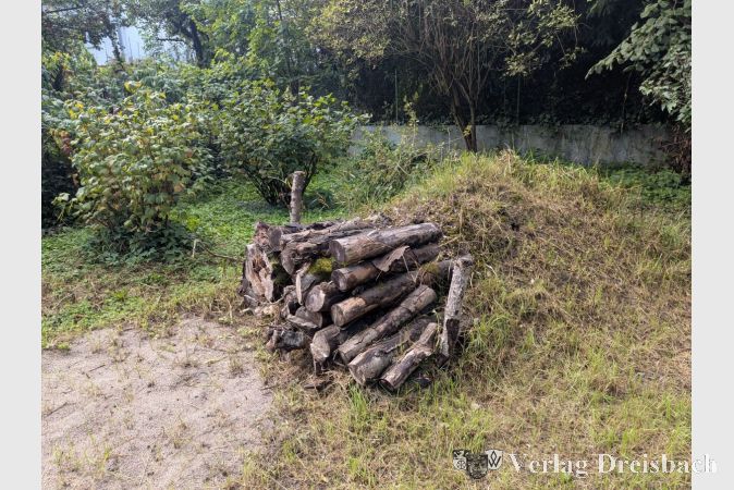 Totholz ist ein beliebter Wohnort für Wildbienen.