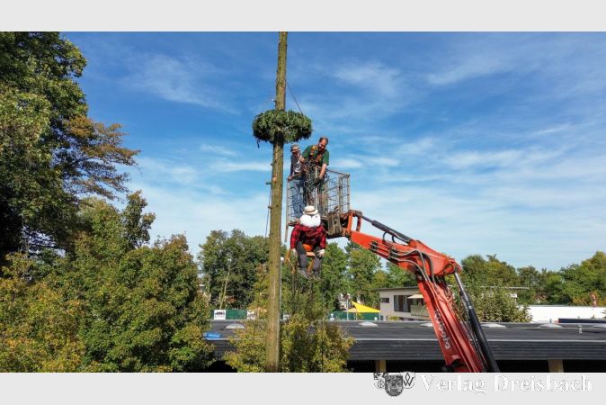 Kerbebopp "Johann" auf dem Weg nach oben, von wo aus er den Kerbebaum, das Wahrzeichen der Kerb, am besten beschützen kann.