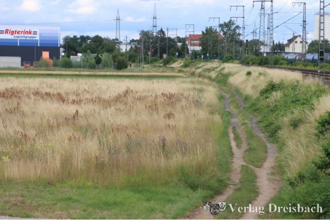 Wenn das Gewerbegebiet West V.2 denn mal umgesetzt wird, kann Flörsheim nach aktuellem Stand mit einem im Kreisvergleich attraktiven Steuersatz um Ansiedlungen werben. In Zeiten drohender Defizite sind die Hebesätze für eine Kommune allerdings einer der wenigen spürbar wirksamen Hebel.