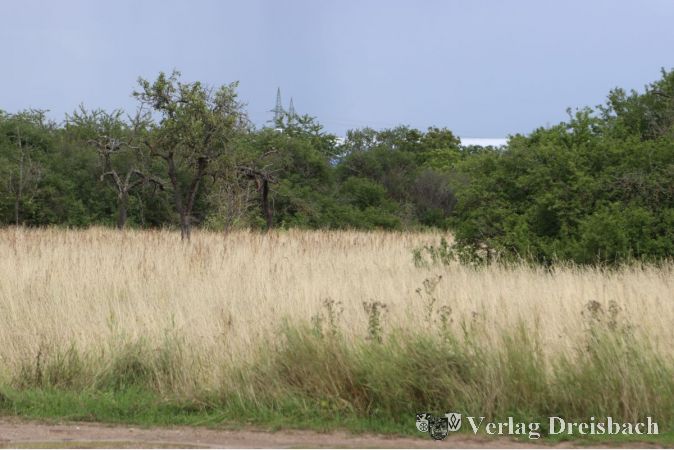Wo das Gewerbegebiet West V.II entstehen soll, tut sich seit Jahren nichts, wurde bei der Generaldebatte um den Haushaltsnachtrag kritisch angemerkt - was sich bei einer Bebauung der Fläche an Einkünften über die Gewerbesteuer erzielen ließe und was es dann unvermittelt zurückzuzahlen gilt, kann niemand voraussagen.
