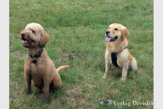 Hundetrainerin Sandra Imhoff referiert am 25. März über die richtige Steuerung des Jagdverhaltens bei Hunden.