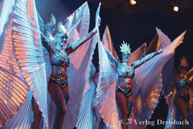 Foto: R. Dörhöfer
Kappensitzung Harmonie Wicker, 15./16. Januar